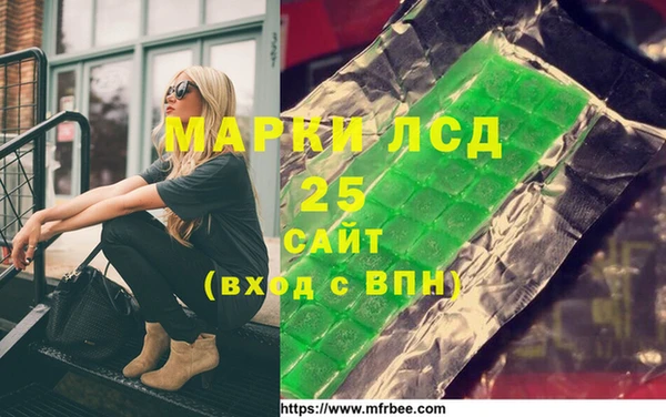 гашик Кулебаки