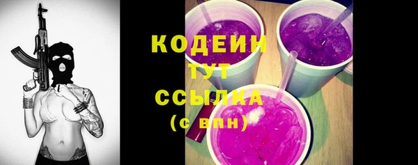 гашик Кулебаки