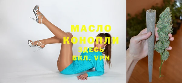гашик Кулебаки