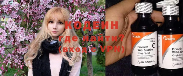 гашик Кулебаки