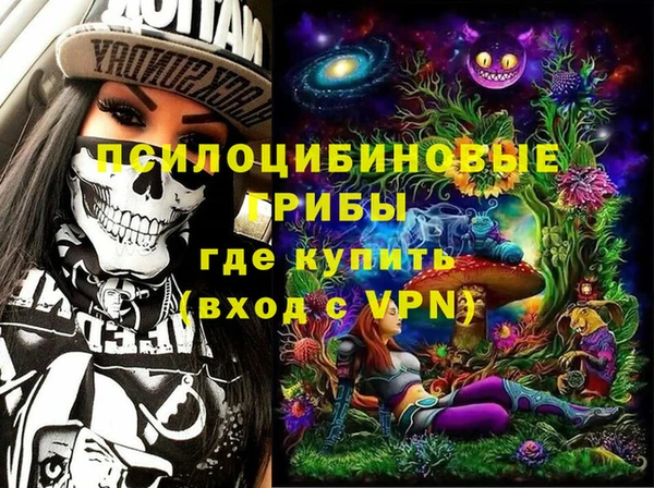 гашик Кулебаки
