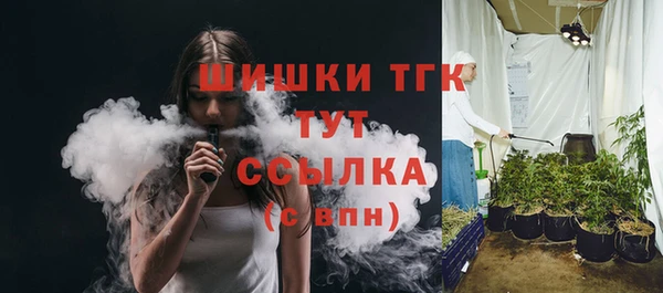 гашик Кулебаки