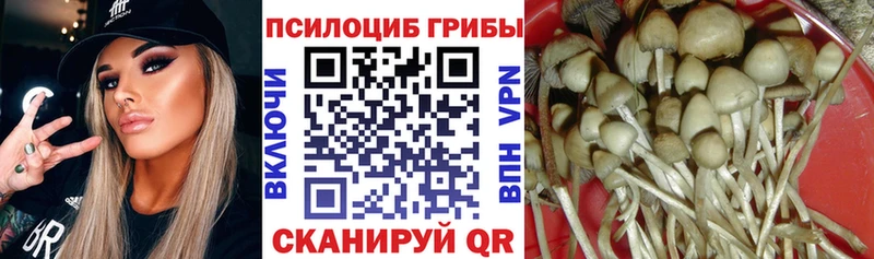 Псилоцибиновые грибы Psilocybine cubensis  Купить закладки  Касимов 